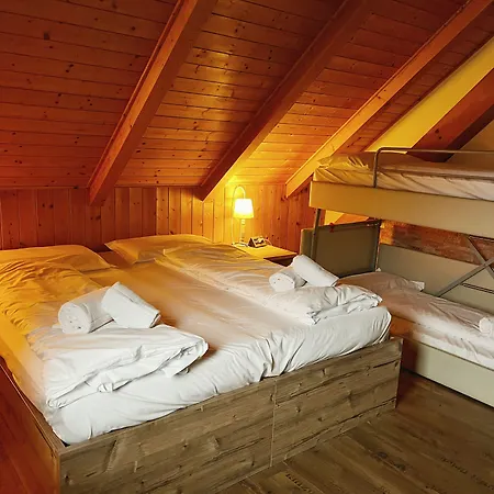 Hotel Hotel Tarvisio Four Seasons 3*