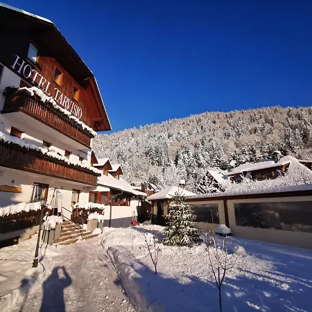 Hotel Tarvisio Four Seasons Hotel 3*